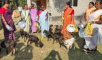 Distribution of goat under Rural Backyard Goat and Sheep Dev. Scheme (SCSP) of NLM at SVD, Chalantapara , Bongaigaon