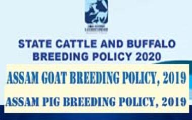 State Breeding Policy